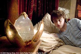 harry4.jpg