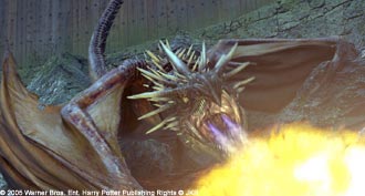 hp4_dragon_0020_330.jpg